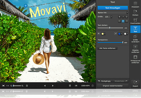 giveaway-movavi-photo-editor-v-2-0-for-free