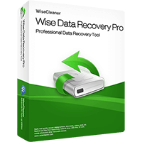 Wise Data Recovery Pro (1 Month / 1 PC)