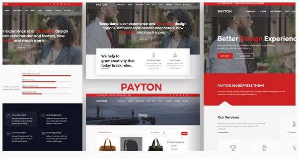 Payton - Business Creative WordPress Multipurpose Theme